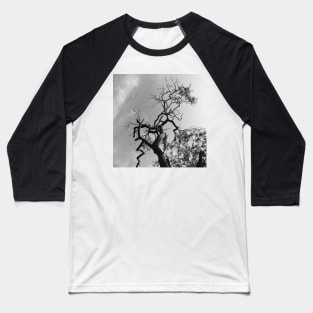 Old Spooky Bare Tree Branches Baseball T-Shirt